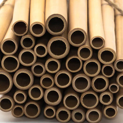 Eco-Friendly Bamboo Straws (Pack of 100)