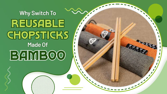 Why Switch to Reusable Chopsticks Made of Bamboo - Infograph